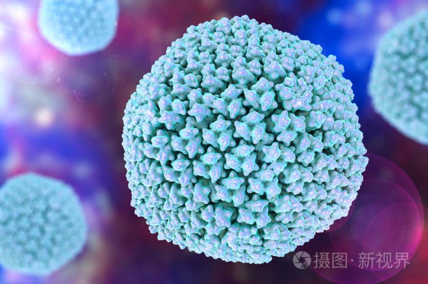 總被要求去內(nèi)毒，究竟是為什么？