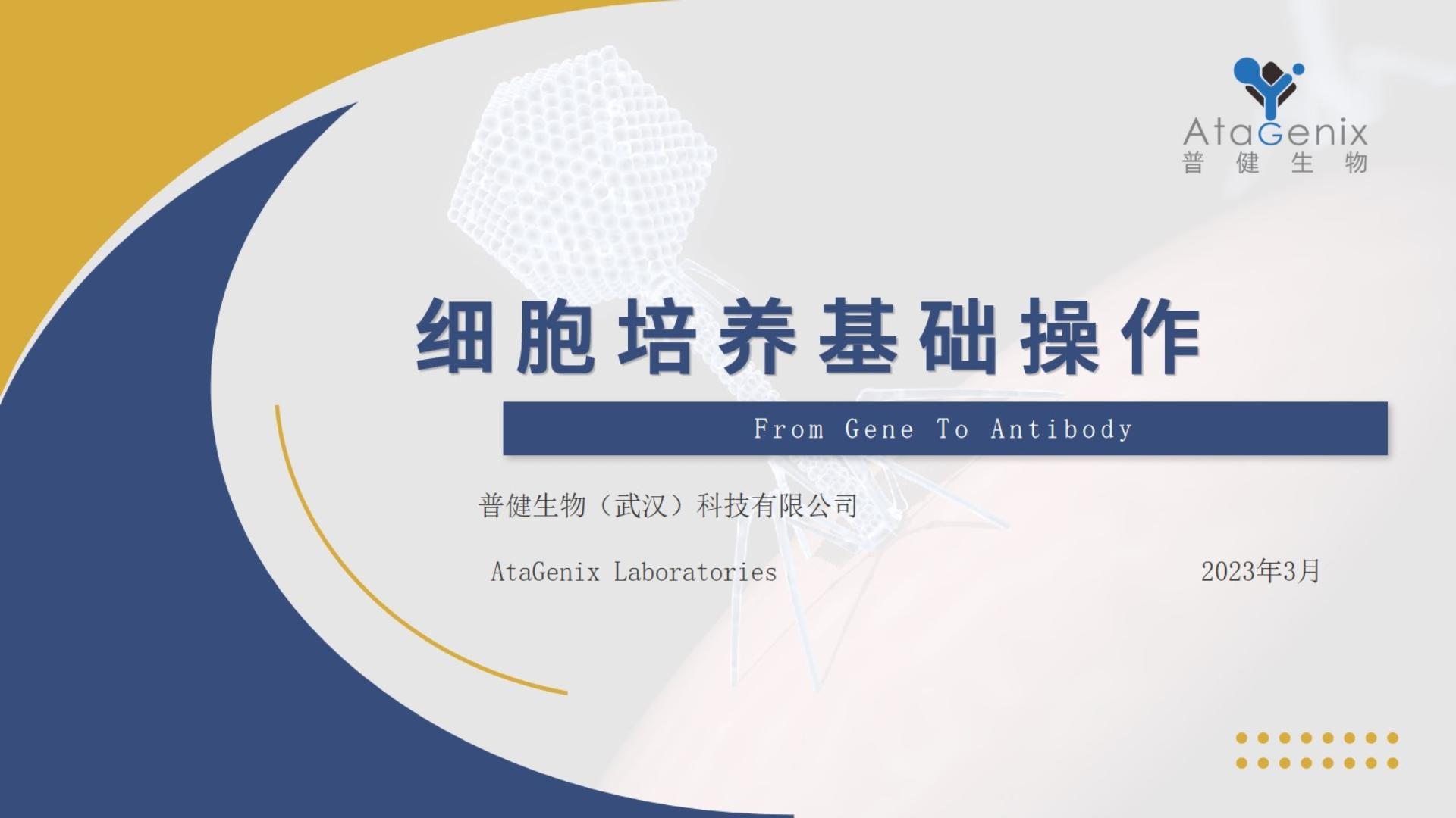 基礎試驗操作篇——細胞培養(yǎng)