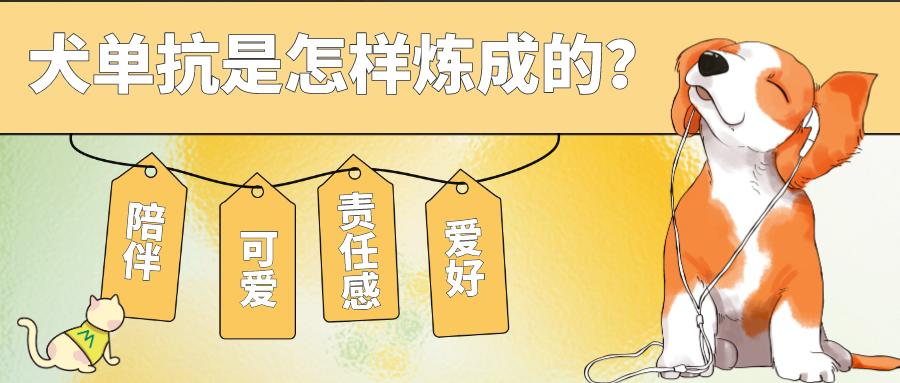 首款犬的單克隆抗體獲批！犬單抗是怎樣煉成的？