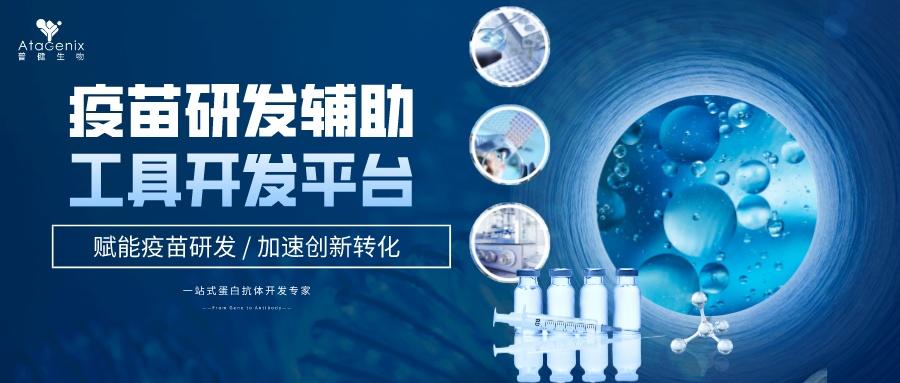 疫苗研發(fā)輔助工具開發(fā)平臺助您撬開千億藍(lán)海