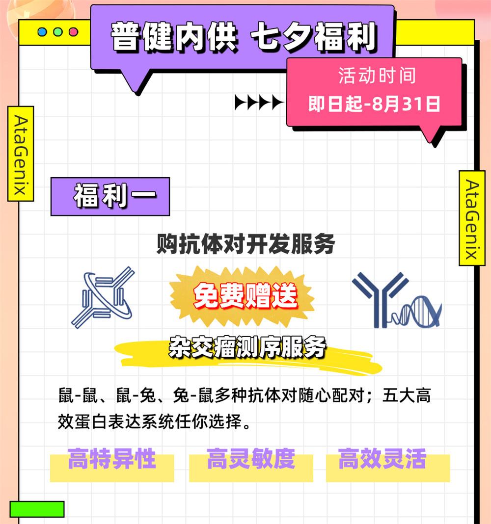 愛在七夕，更在朝夕