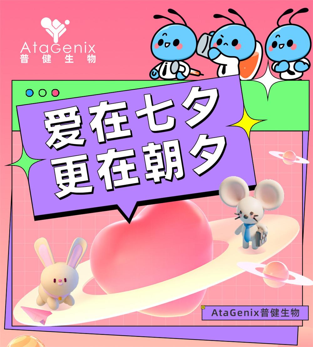愛在七夕，更在朝夕