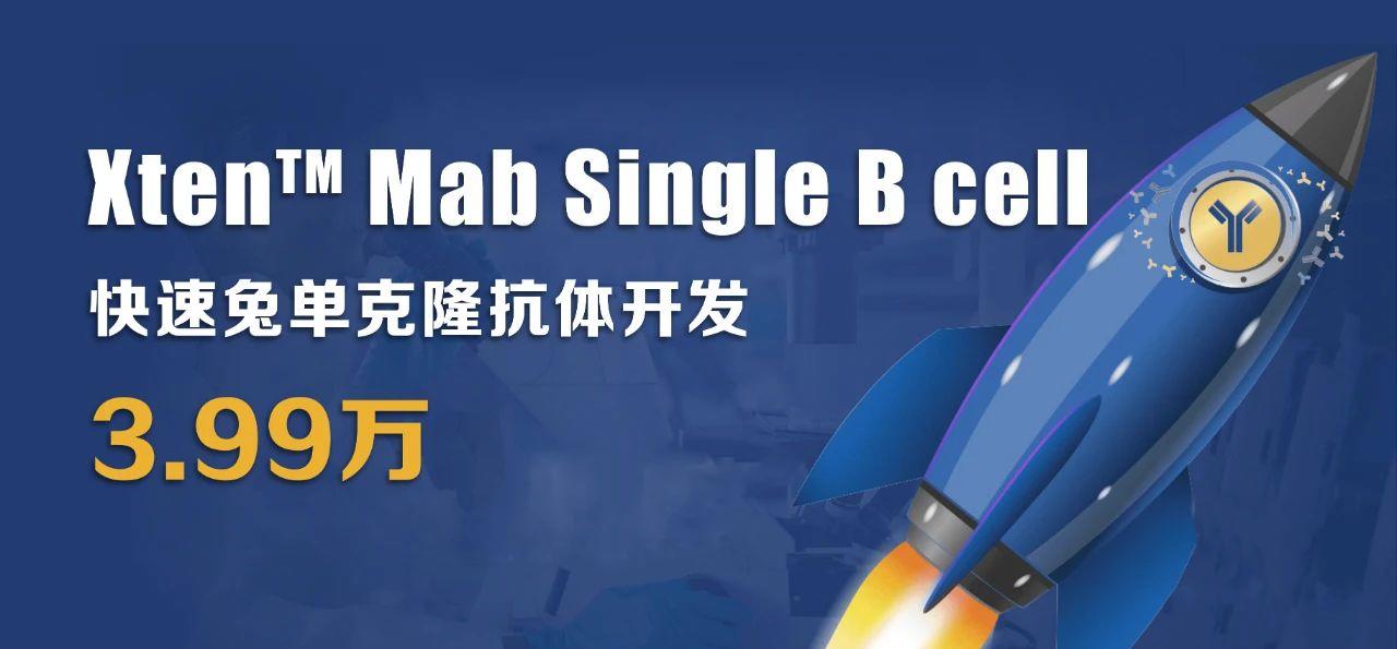利用兔單B細(xì)胞技術(shù)制備高親和力、多種表位的抗獨(dú)特型單克隆抗體