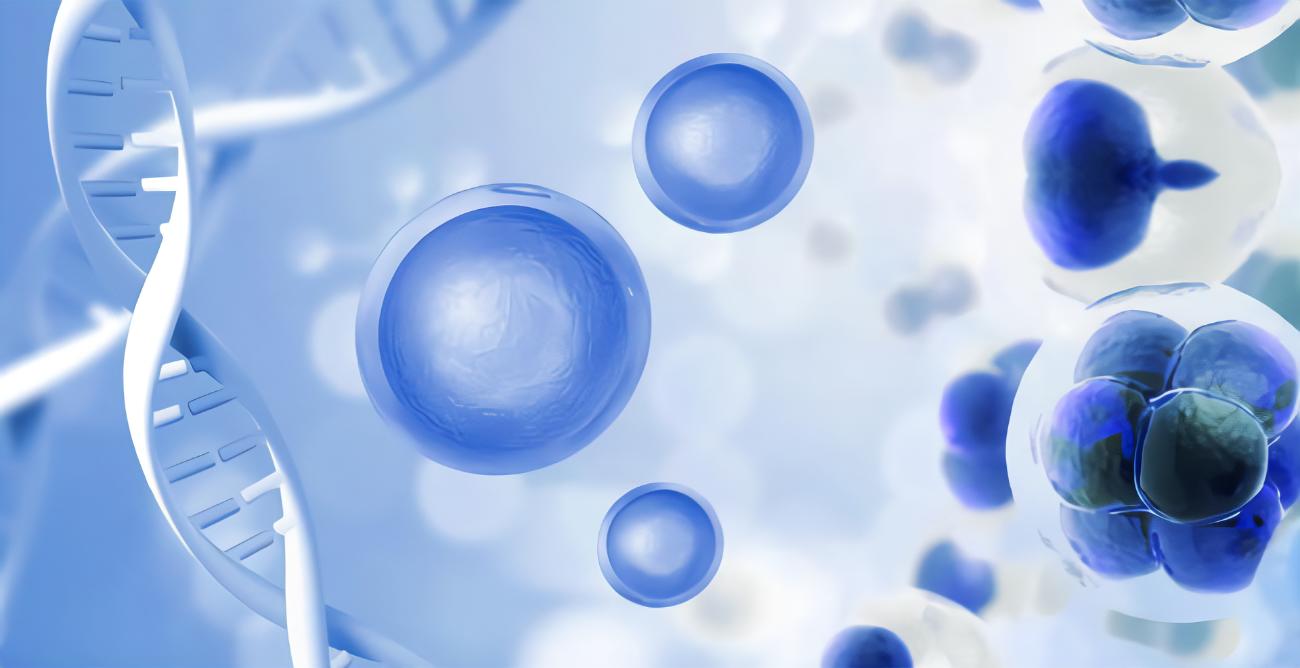 CD133、CD44、CD11b在急性髓系白血病中的表達(dá)及其與臨床預(yù)后的相關(guān)性研究