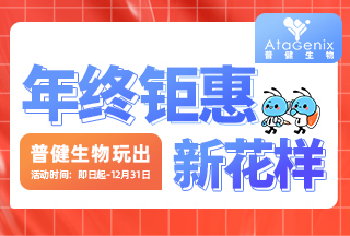 年終鉅惠，快來領取屬于你的16666元科研購物金！